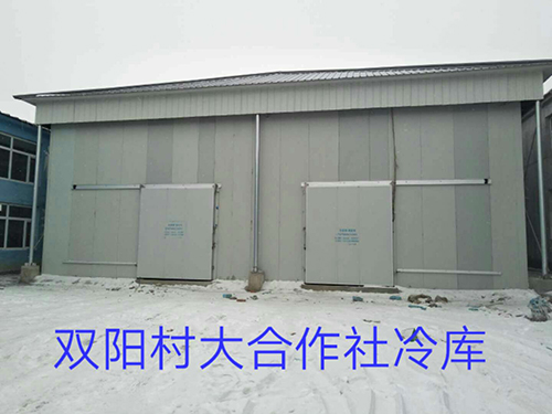案例展示 